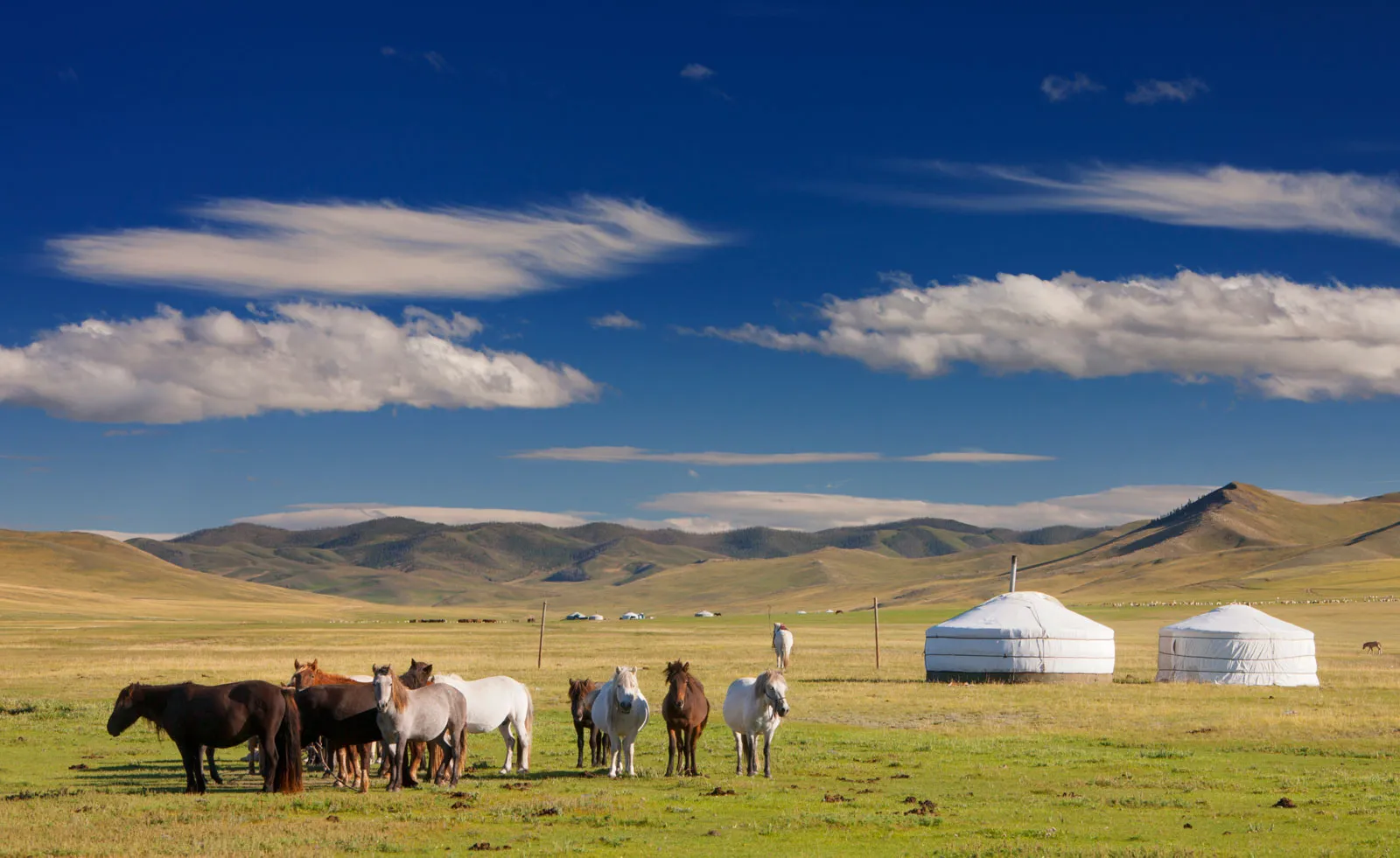 Mongolia: A Land of Solitude and Freedom is Underrated destinations