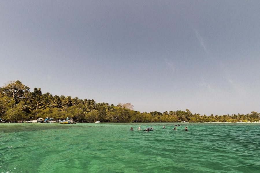 Andaman & Nicobar Islands in January