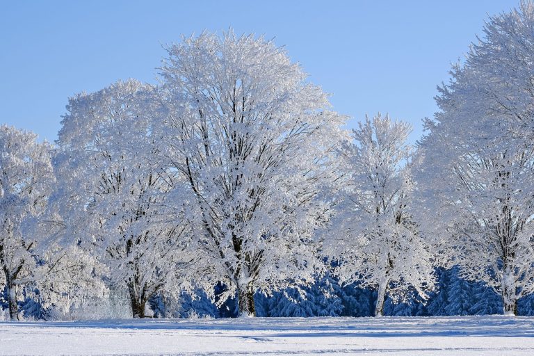 georgia in winter