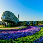 view of Miracle Garden Dubai showcasing its floral designs