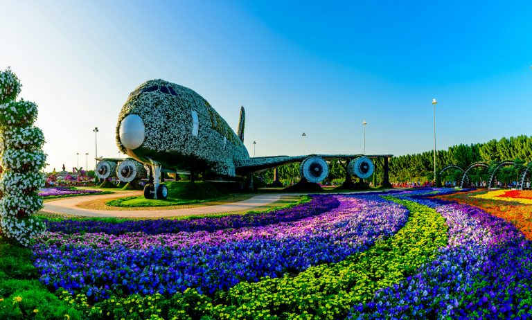 view of Miracle Garden Dubai showcasing its floral designs