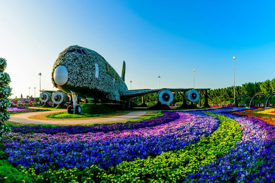view of Miracle Garden Dubai showcasing its floral designs
