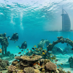 Coral reef and marine life during scuba diving in Dubai
